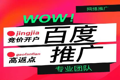 SEM运营中的数据分析和优化案例研究